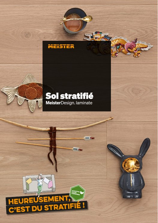 Katalog paneli podłogowych Meister Poznań